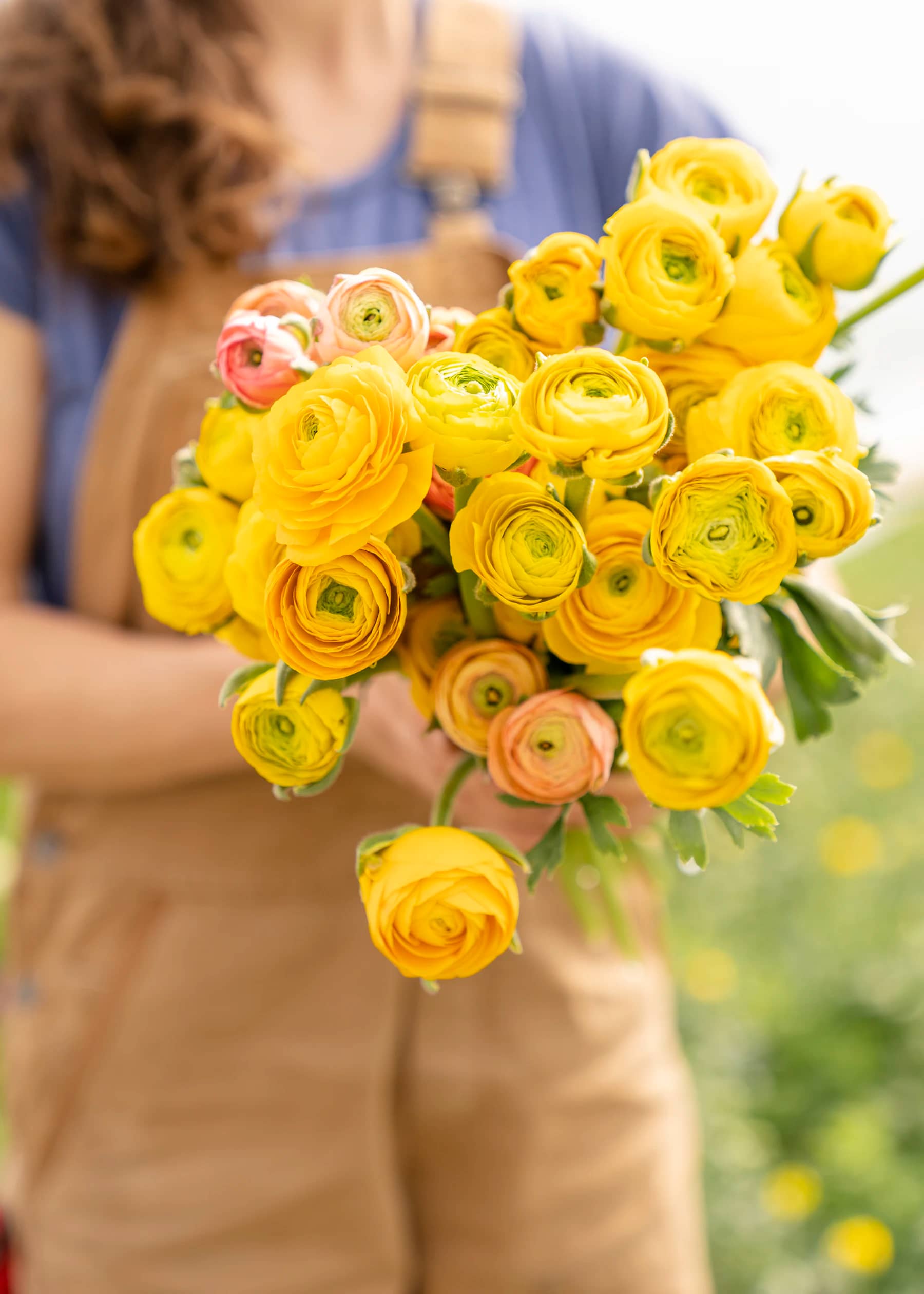 Buchet de trandafiri galbeni