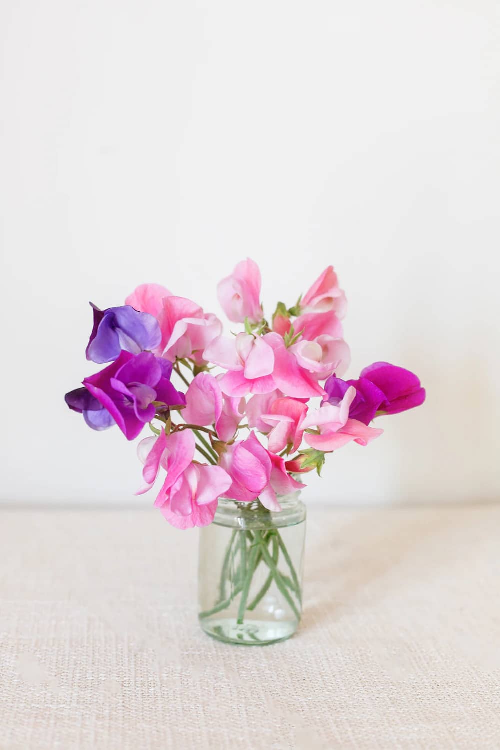 Sweet pea mov într-un borcan